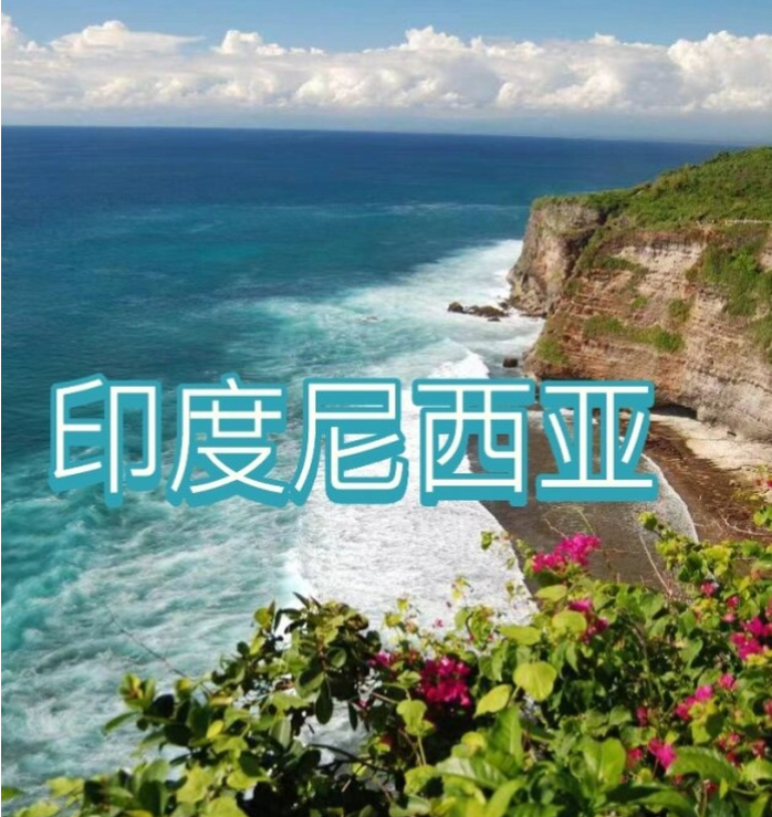 电商(印尼)产业博览会新葡京2025中国国际(图2)