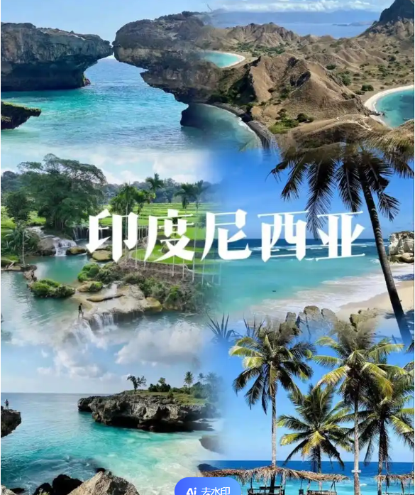 电商(印尼)产业博览会新葡京2025中国