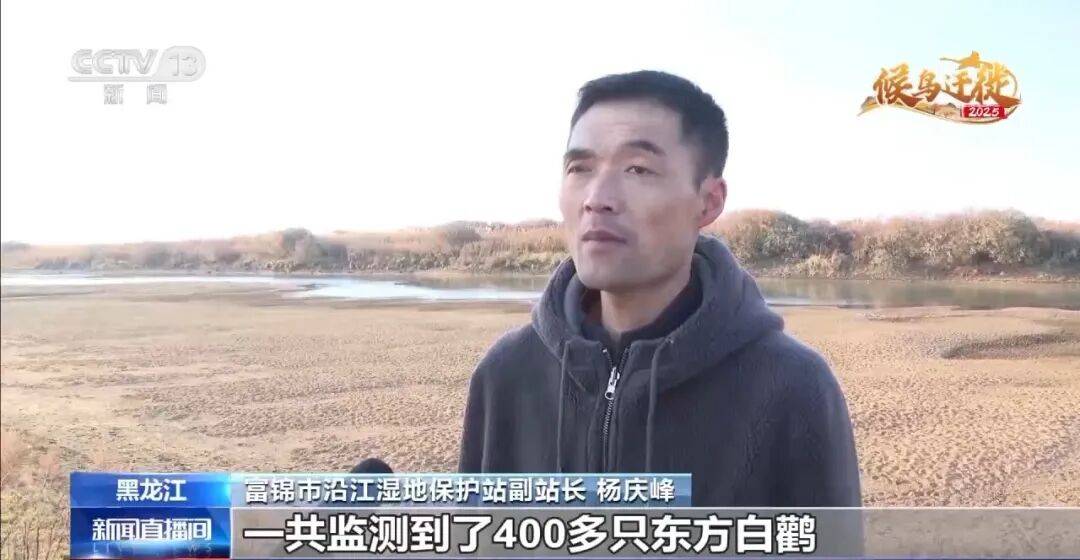 迁徙 见证“白羽黑翎”东方白鹳湿地栖居美景新葡京娱乐爱鸟护鸟在行动 从筑巢、育儿到(图2) 迁徙 见证“白羽黑翎”东方白鹳湿地栖居美景新葡京娱乐爱鸟护鸟在行动 从筑巢、育儿到(图2)